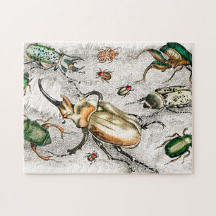 Beetles Insects Bugs Jigsaw Puzzle