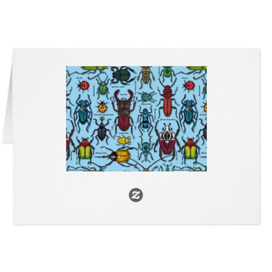 Beetles on blue (Back Horizontal)