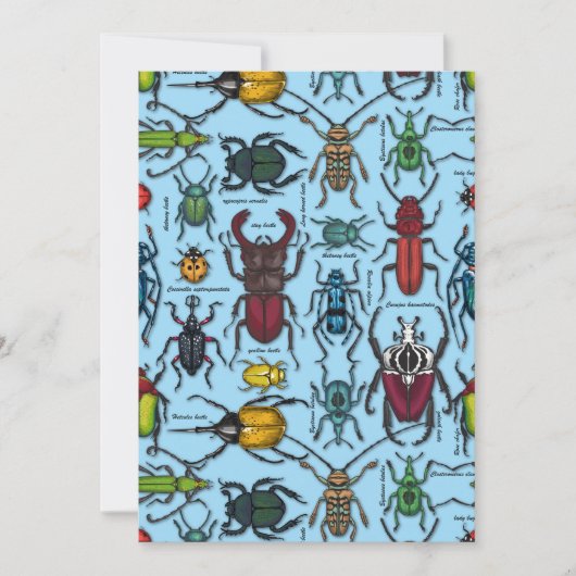 Beetles on blue (Front)