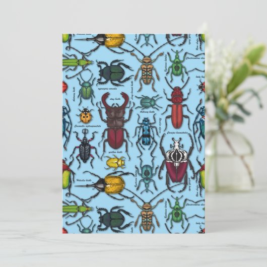 Beetles on blue (Standing Front)