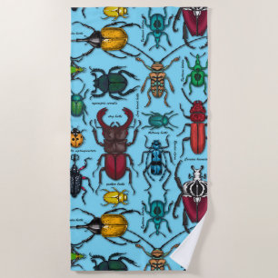 Beetles on blue beach towel
