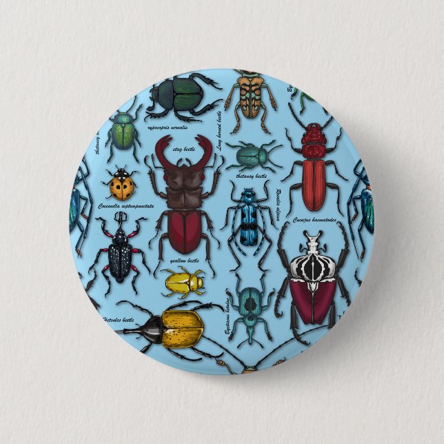 Beetles on blue button (Front)