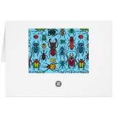 Beetles on blue cards (Back Horizontal)