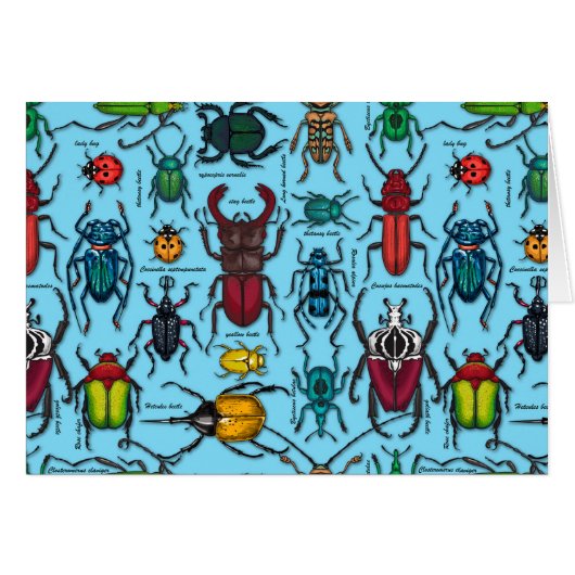 Beetles on blue cards (Front Horizontal)