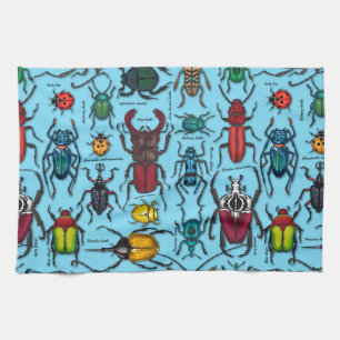 Beetles on blue kitchen towel