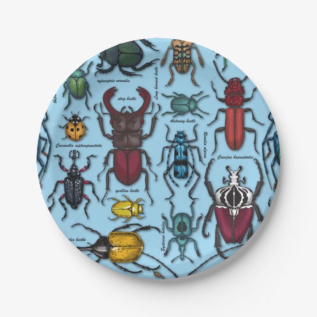 Beetles on blue paper plates (Front)