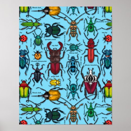 Beetles on blue poster