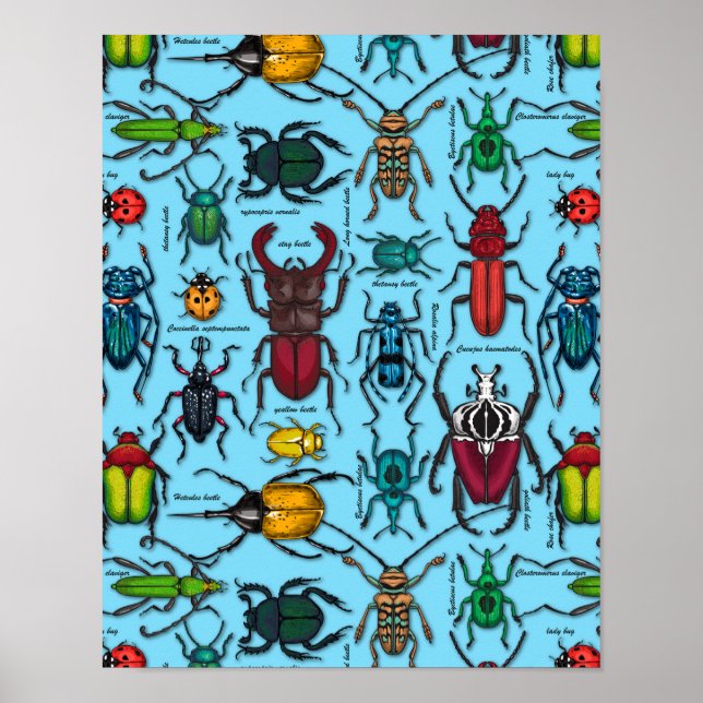Beetles on blue poster (Front)