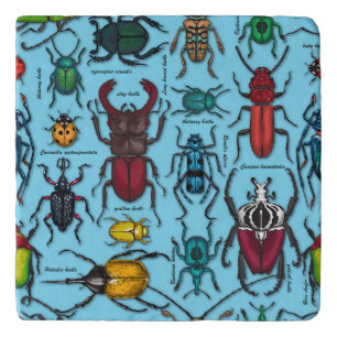 Beetles on blue trivet