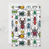 Beetles on white (Front)