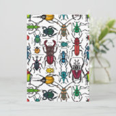 Beetles on white (Standing Front)