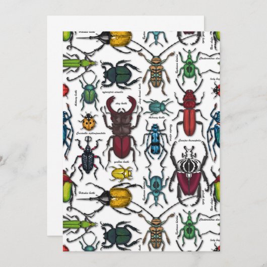 Beetles on white (Front/Back)