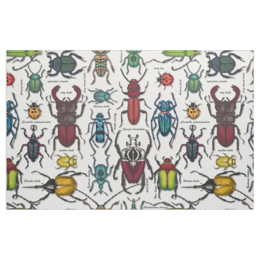 Beetles on white fabric