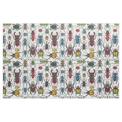 Beetles on white fabric