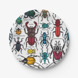 Beetles on white paper plates