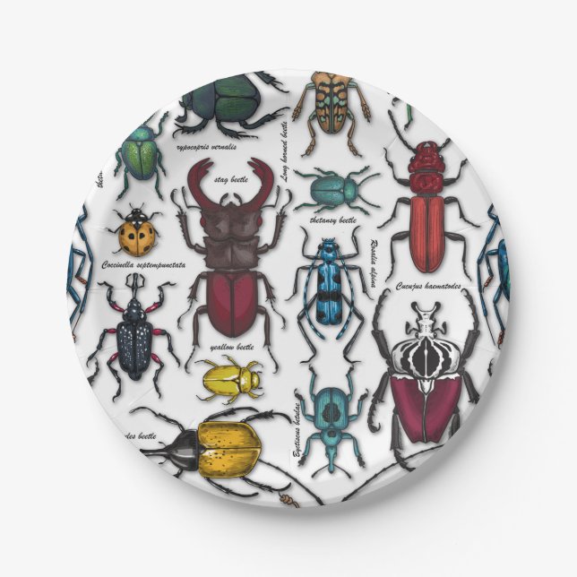 Beetles on white paper plates (Front)