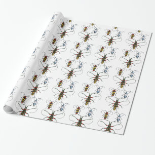 Beetles Paper Wrap