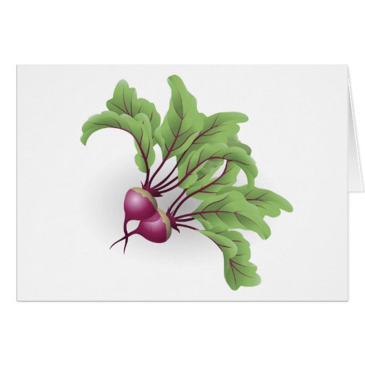 Beetroot illustration cards (Front Horizontal)