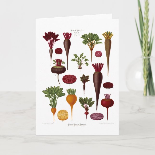 Beets Card (Front)