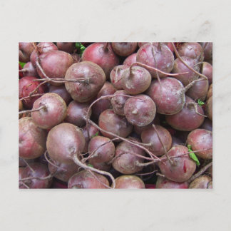 Beets Postcard