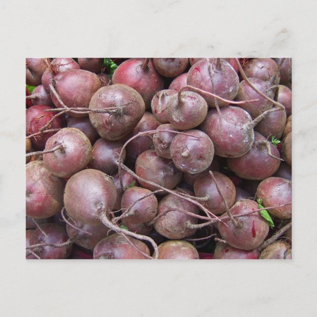 Beets Postcard (Front)
