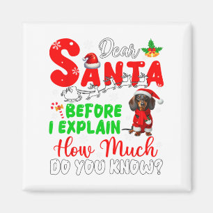 Before I Explain How Much You Know Xmas Dachshund  Magnet