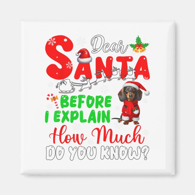 Before I Explain How Much You Know Xmas Dachshund  Magnet (Front)