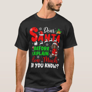 Before I Explain How Much You Know Xmas Dachshund T-Shirt