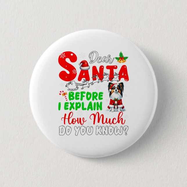 Before I Explain How Much You Know Xmas Papillon O Button (Front)