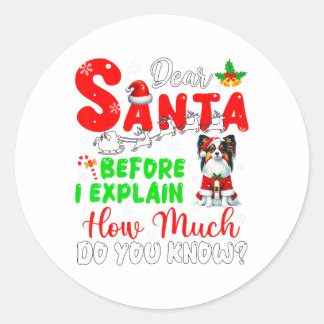 Before I Explain How Much You Know Xmas Papillon O Classic Round Sticker