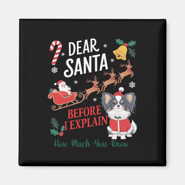 Before I Explain How Much You Know Xmas Papillon O Magnet (Front)