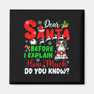 Before I Explain How Much You Know Xmas Papillon O Magnet