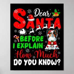 Before I Explain How Much You Know Xmas Papillon O Poster