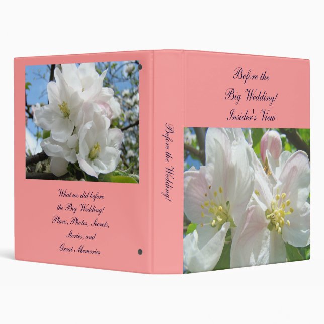 Before the Big Wedding! Insider's View binders (Background)