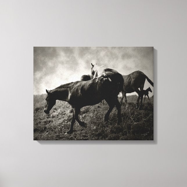 Before the Storm Wrapped Canvas Print (Front)