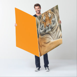 BEGAL TIGER WHO DEY BIIRTHDAY BIGGEST BIG GREETING CARD