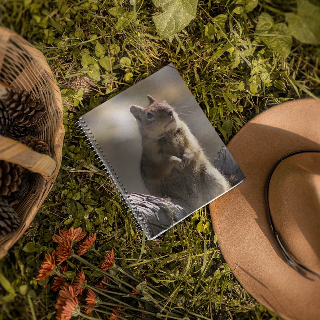 Begging Ground Squirrel Nature Photo Notebook (In Situ)