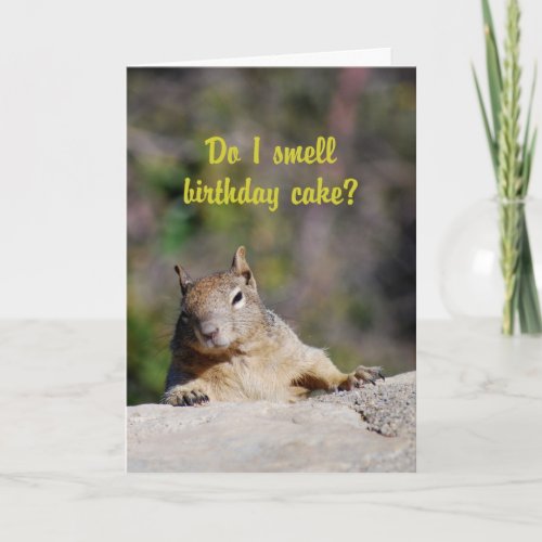 Begging Squirrel Happy Birthday Card