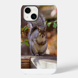 Begging Squirrel iPhone Case