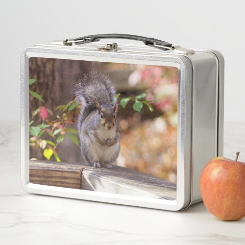 Begging Squirrel Metal Lunch Box