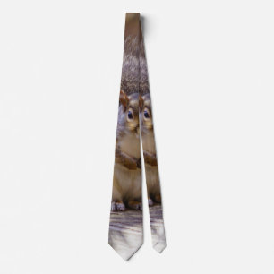 Begging Squirrel Neck Tie