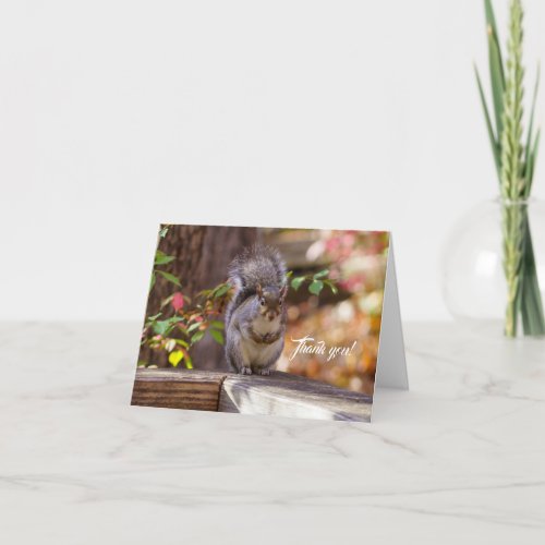 Begging Squirrel Thank You Card