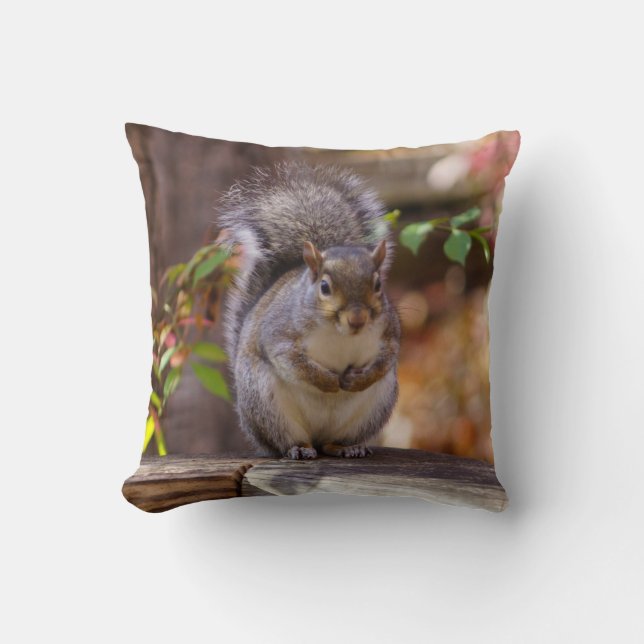 Begging Squirrel Throw Pillow (Front)