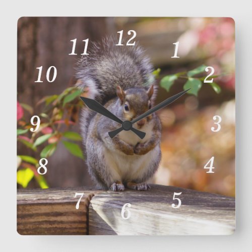 Begging Squirrel Wall Clock