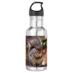 Begging Squirrel Water Bottle