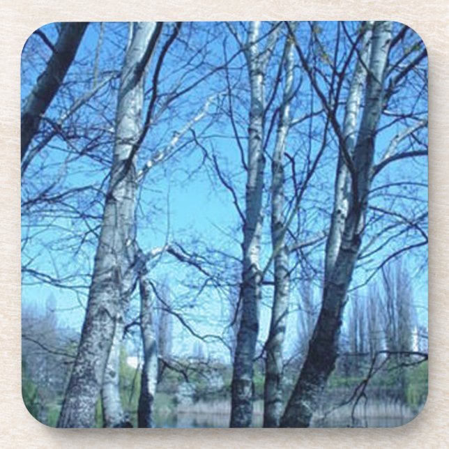 begining spring beverage coaster (Front)
