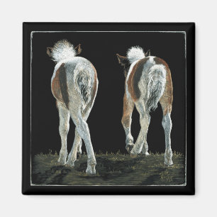 "Beginning Line Dancing" - Foal Magnet