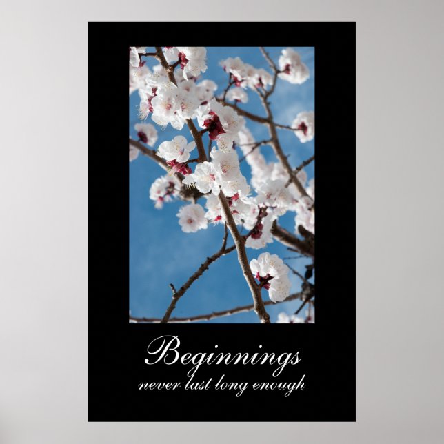 Beginnings Demotivational Poster (Front)