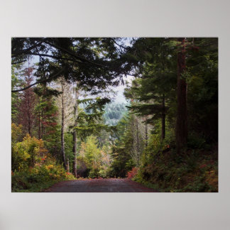Beginnings of Fall Poster