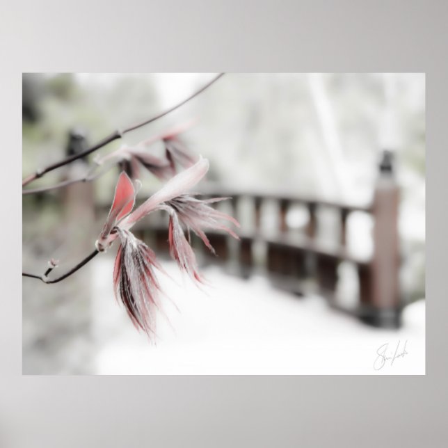 Beginnings Poster (Front)